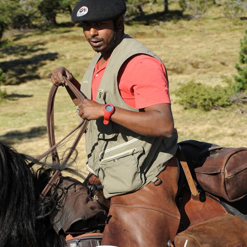 photo du chevalier 