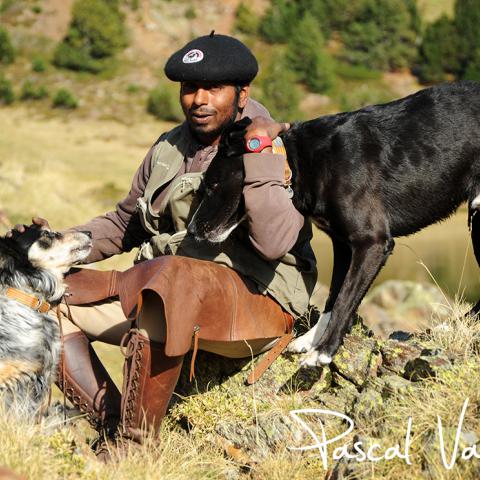 photo de reportage a palavas, pyrénéennes orientales
